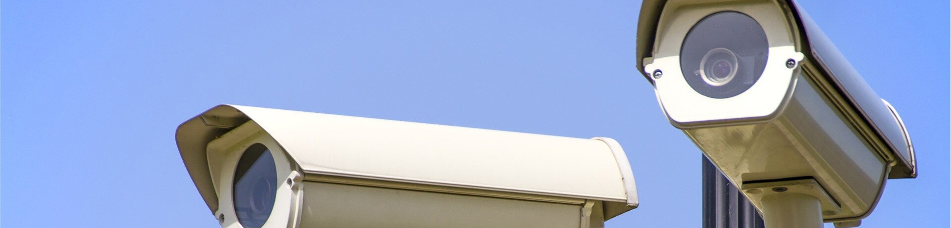 Revelkom Petr Novosad